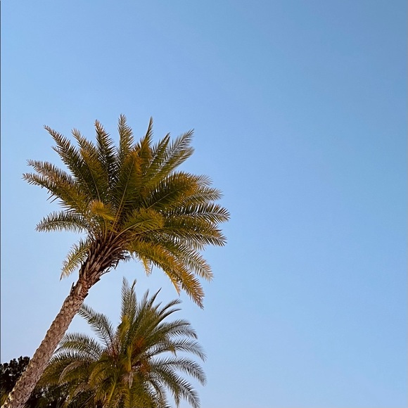 Meet your Posher, Ksena - Picture 1 of 1